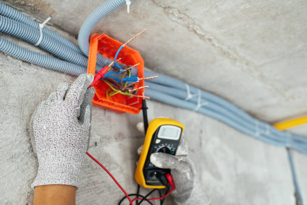 Best Electrical System Inspection  in Jenison, MI